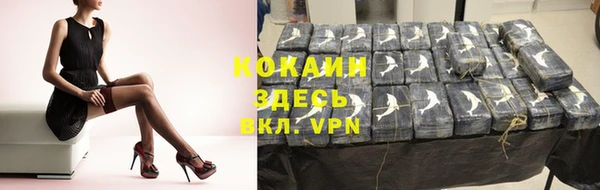 гидра Михайловка