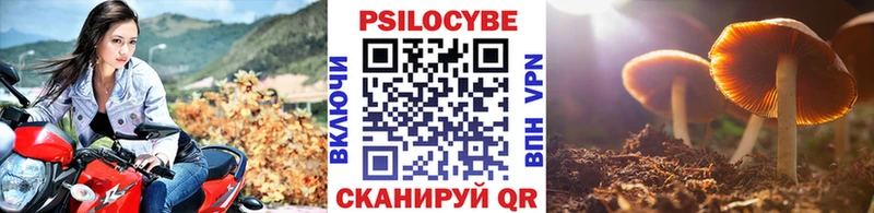 Галлюциногенные грибы прущие грибы  сколько стоит  Котово 